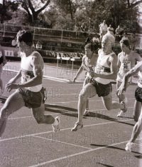 Image ID: 201802271824_00022