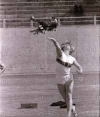 Image ID: 201802281830_00013