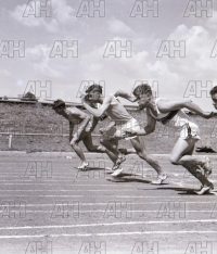 Image ID: 201802281856_00006