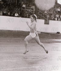 Image ID: 201803281319_00022