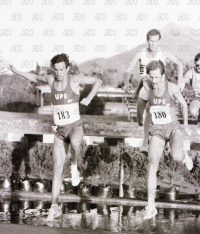 Image ID: 201805231129_00027