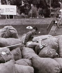 Image ID: 201806081835_00001