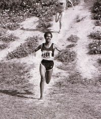 Image ID: 201806211040_00002