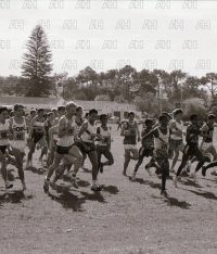 Image ID: 201806211040_00004