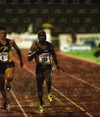 Image ID: 201806240959_00016